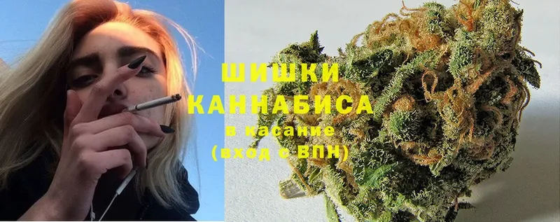 кракен зеркало  Андреаполь  Бошки марихуана OG Kush 